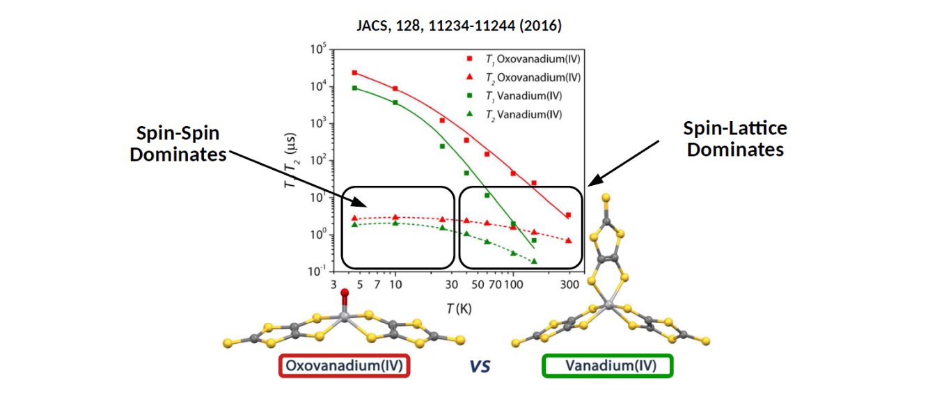 Featured Image for Electro-Nuclear Spin-Phonon Coupling and Relaxation in Molecular Qubits